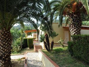 two palm trees in front of a house at Luxurious Holiday Home in Palinuro Italy with Swimming Pool in Centola