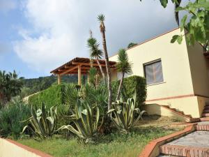 a house with palm trees in front of it at Luxurious Holiday Home in Palinuro Italy with Swimming Pool in Centola