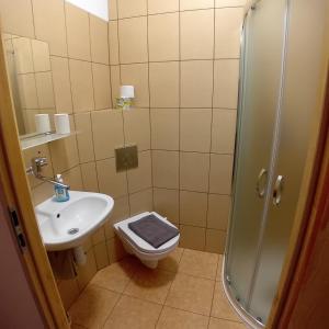 a bathroom with a sink and a toilet and a shower at Dom Wypoczynkowy POD FORTAMI in Srebrna Góra