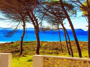a fence with trees and the ocean in the background at Apartment with Sea Views in Sanxenxo
