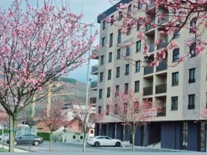 un edificio con flores rosas delante de él en Apartman I&I, en Kiseljak