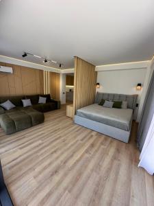 Χώρος καθιστικού στο Apartment Kaprovani Shekvetili