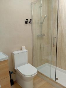 ein Badezimmer mit Toilette und Glasdusche in der Unterkunft Hermosa Casa en Ribeira Sacra in Sistín