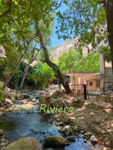 扎赫勒Casa Riviera的一条有岩石和树木的河流,一条山