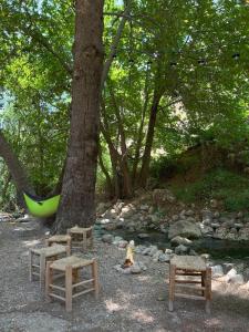 a hammock sitting next to a tree and a river at Casa Riviera in Zahlé +15 photos