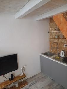 a kitchen with a sink and a tv on a wall at House Maclura Jablanica Lake in Železnička Stanica Ostrožac