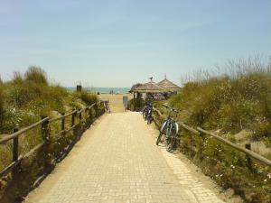 a group of bikes parked on a path near the beach at Il Gamberetto in Principina a Mare