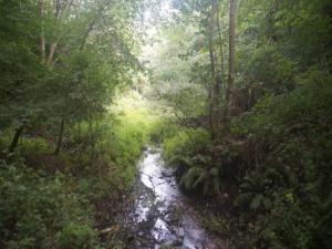 a stream in the middle of a forest at 6 person holiday home in Brovst in Brovst