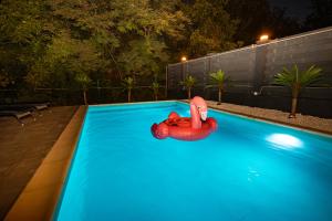 a swimming pool with a red inflatable raft in the water at Cabane Masaya Aframe in Periş