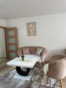 a living room with a couch and a coffee table at Studio Apartman Gracia in Plužine