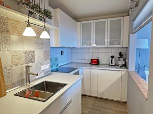 Η κουζίνα ή μικρή κουζίνα στο DomPanorama KLEINER BUDDHA Apartment für 2-3Pers