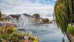 トロワにあるAppartement T2 Troyesの湖の中の噴水 +8枚の写真