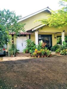 a house with plants in front of it at Homestay Cik Esah in Kuala Terengganu