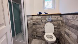 a bathroom with a toilet and a walk in shower at Camping Rives du Lac de Sainte Croix in Bauduen +58 photos