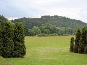 a group of trees in a field with a mountain in the background at Ferienwohnung im Sauerland in Medebach +31 photos