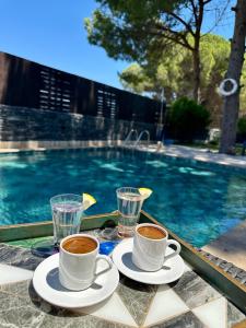 Πισίνα στο ή κοντά στο La villa ParsDoren