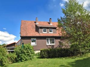 a house with a red roof and some bushes at Entspannender Skiurlaub in Braunlage in Hohegeiß +32 photos