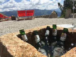 a group of beer bottles sitting in a stone bucket at Chalet Hochzillertal in Mühlfeld