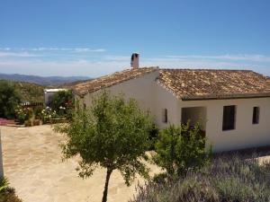 una casa blanca con un árbol delante en Countryside Villa Escape, en La Joya