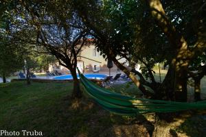 a hammock hanging from a tree in a yard at Apartment Villa Oliva in Gostinjac