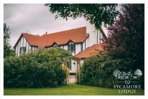 a large white house with a red roof at Sycamore Lodge in Kilkee
