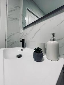 a bathroom sink with a soap dispenser and a plant on it at Cristal Residence in Zalău