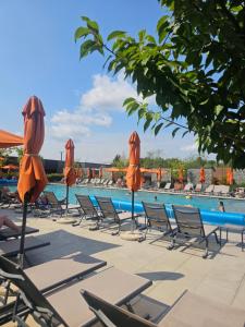 a swimming pool with chairs and umbrellas at Nyvky Like Home - Файна Таун із сезонним басейном - Кв 149 in Kyiv