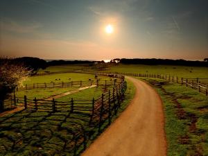 a dirt road in a field with the sun setting at Holiday Home in Vodnjan near the Sea in Vodnjan