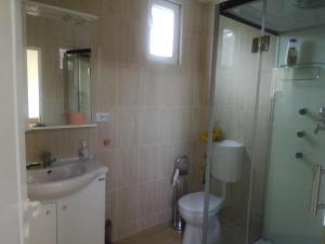 a bathroom with a shower and a toilet and a sink at Casa Corvinia in Hunedoara