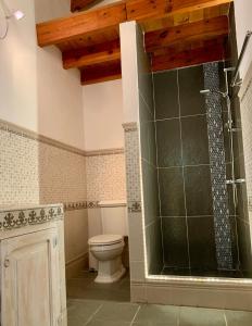 a bathroom with a toilet and a shower at Studio by the sea in Santa Ponsa