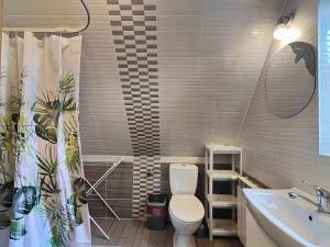 a bathroom with a toilet and a sink at Willa Murań in Murzasichle +53 photos