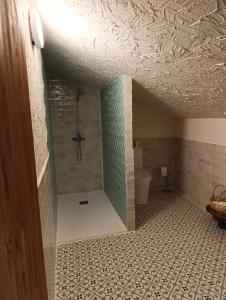 a bathroom with a shower and a toilet at La Casona de Alan-Brú in Boceguillas +48 photos