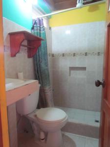 a bathroom with a toilet and a shower at Hotel Mirador del Lago in Flores