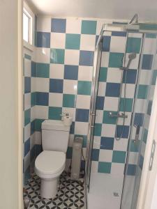 ein Badezimmer mit Toilette und Dusche in der Unterkunft La maison de Quitterie in Aire-sur-lʼAdour