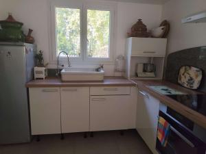 eine kleine Küche mit Spüle und Fenster in der Unterkunft La maison de Quitterie in Aire-sur-lʼAdour