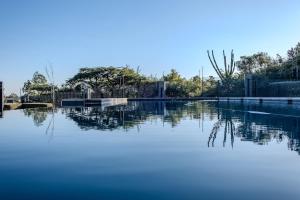 una gran masa de agua con árboles en el fondo en #AlimamaSpaces The Manson Umthunzi View, en Vosburg