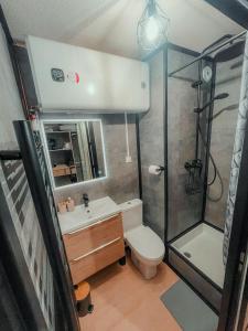 a bathroom with a shower and a toilet and a sink at Studio du voyageur, Gare, Centre, Europole, CEA in Grenoble