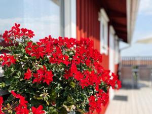 a pot of red flowers in front of a building at 4 person holiday home in ONSALA-By Traum in Onsala