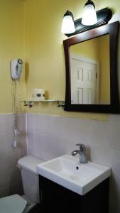 uma casa de banho com um lavatório, um espelho e um WC. em Blue Jay Motel em Peterborough