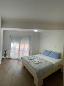 オフリドにあるStefea Center Apartment - Free Garage - Centralの青い枕と窓のあるベッドのある寝室