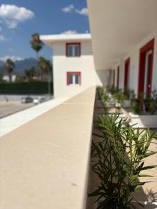 a white building with a plant in front of it at Albergo Santa Croce in Giffoni Sei Casali