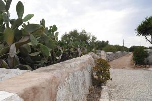 Gallery image of The essence of Menorca in a unique country house in Mahón