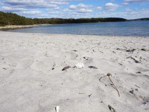 Loodusmaastik puhkemaja lähedal +16 fotot