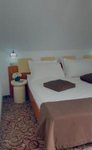 シビウにあるPension Belascuのギャラリーの写真