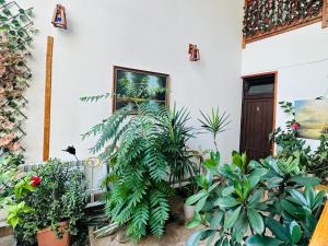 埃里温Old Yerevan Inn的建筑前的植物群