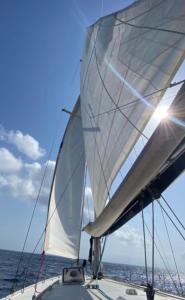 une voile sur un bateau dans l'eau dans l'établissement Casa Vacanze Margherita, à Stintino 5 autres photos