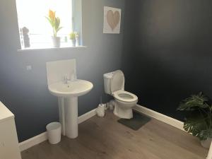 a bathroom with a toilet and a sink at Spacious 2 Bed Ribble Valley Apartment in Blackburn