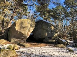 a large rock in the middle of a forest at 1-Bed Kristianstad Apartment - Sleeps 6 & Pets Ok in Fjälkinge