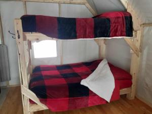 AngliersにあるPrêt à camperの部屋に二段ベッドがいくつかある