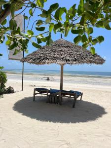 Příroda nedaleko rezortu + 16 fotografií